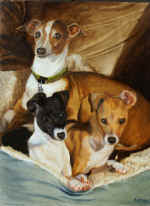 3Pups.JPG (261900 bytes)